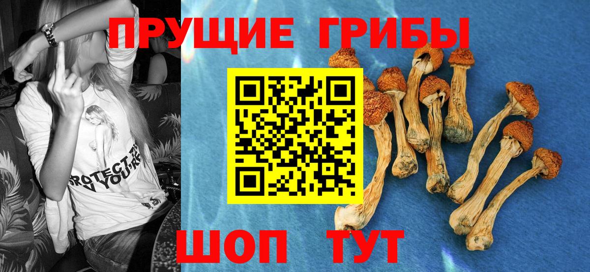 Псилоцибиновые грибы Psilocybe  наркота  Похвистнево  Галлюциногенные грибы Magic Shrooms  Вход с VPN 